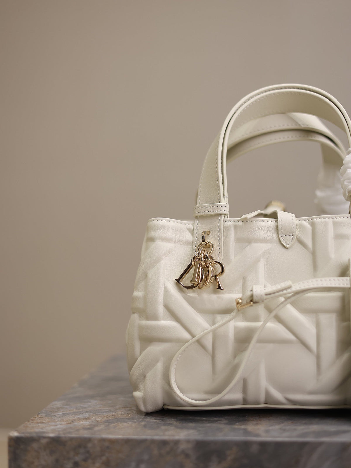 MINI TOUJOURS BAG 23 IN WHITE CANNAGE GRAPHIC CALFSKIN
