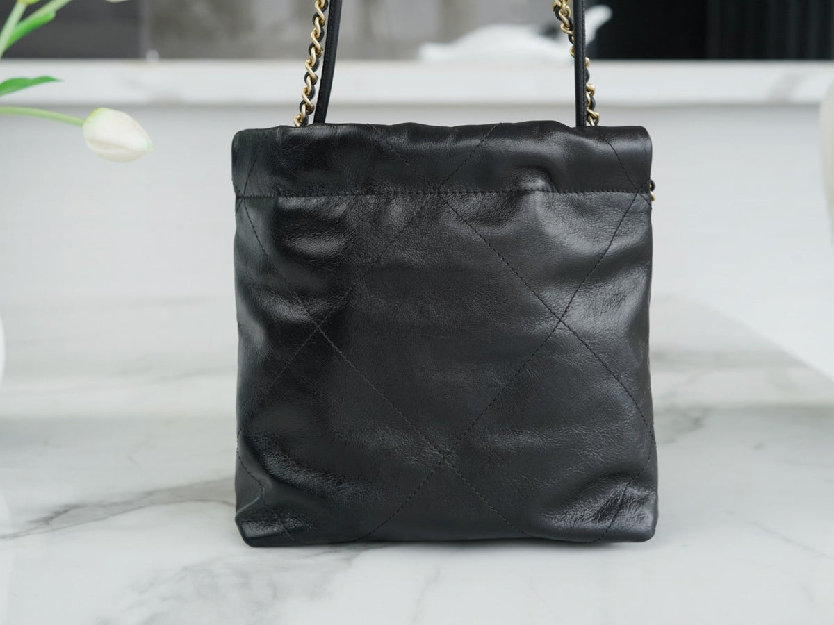 CHA 23s 22Mini Bag