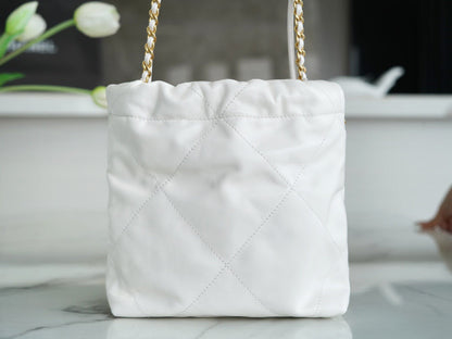 CHA 23s 22Mini Bag