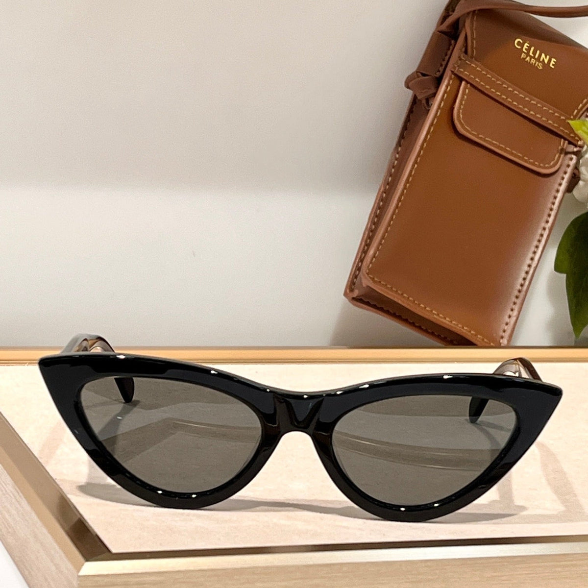 TRIOMPHE CAT EYE SUNGLASS CL40019 IN ACETATE
