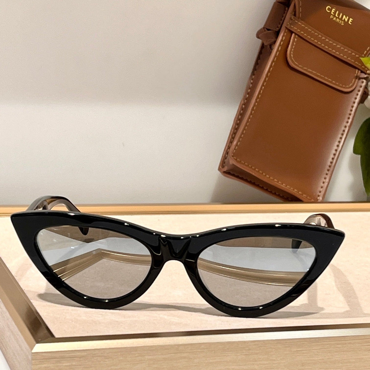 TRIOMPHE CAT EYE SUNGLASS CL40019 IN ACETATE