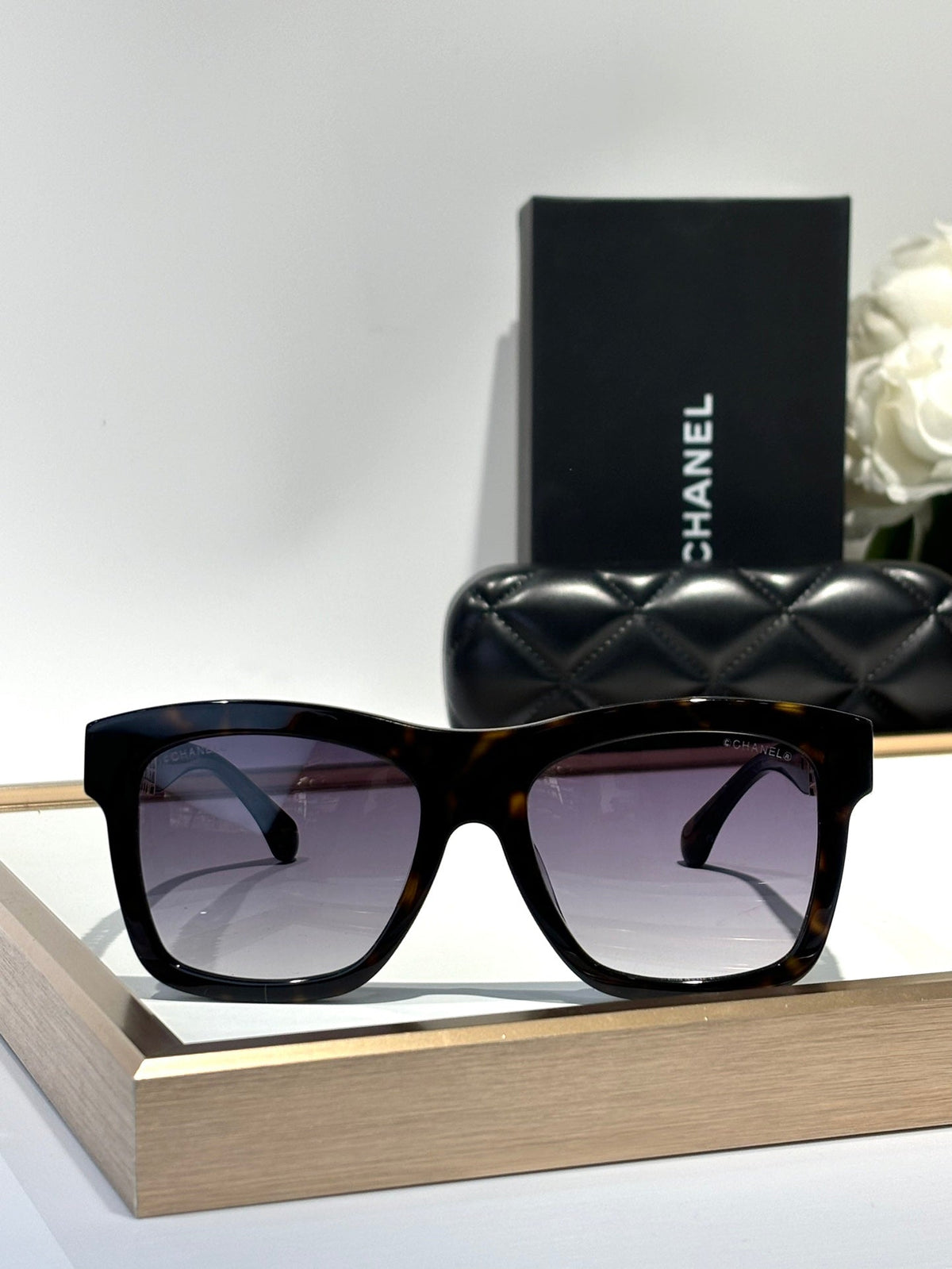 SQUARE SUNGLASSES CH5533 IN ACETATE