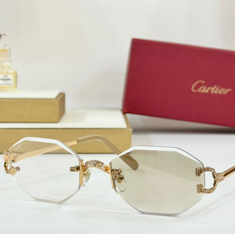 PHOTOCHROMIC LENSES GEOMETRIC FRAME SUNGLASSES CT0581S IN METAL