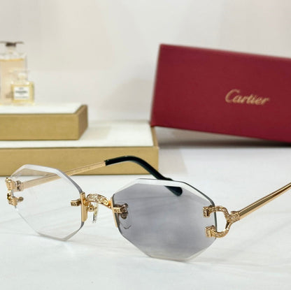 PHOTOCHROMIC LENSES GEOMETRIC FRAME SUNGLASSES CT0581S IN METAL