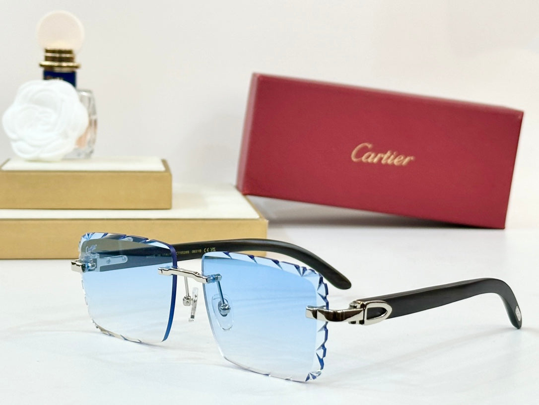 C DE RIMLESS RECTANGULAR FRAME SUNGLASSES 556093 IN METAL