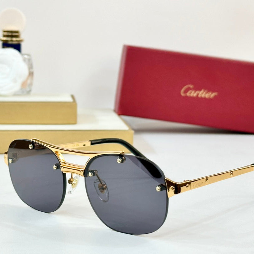 SANTOS ROUND FRAME SUNGLASSES CT00676 IN METAL