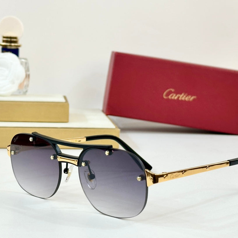 SANTOS ROUND FRAME SUNGLASSES CT00676 IN METAL