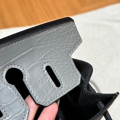 BIRKIN FAUBOURG TOUCH 20 IN DOVE GRAY CALFSKIN WITH SILVER HARDWARE