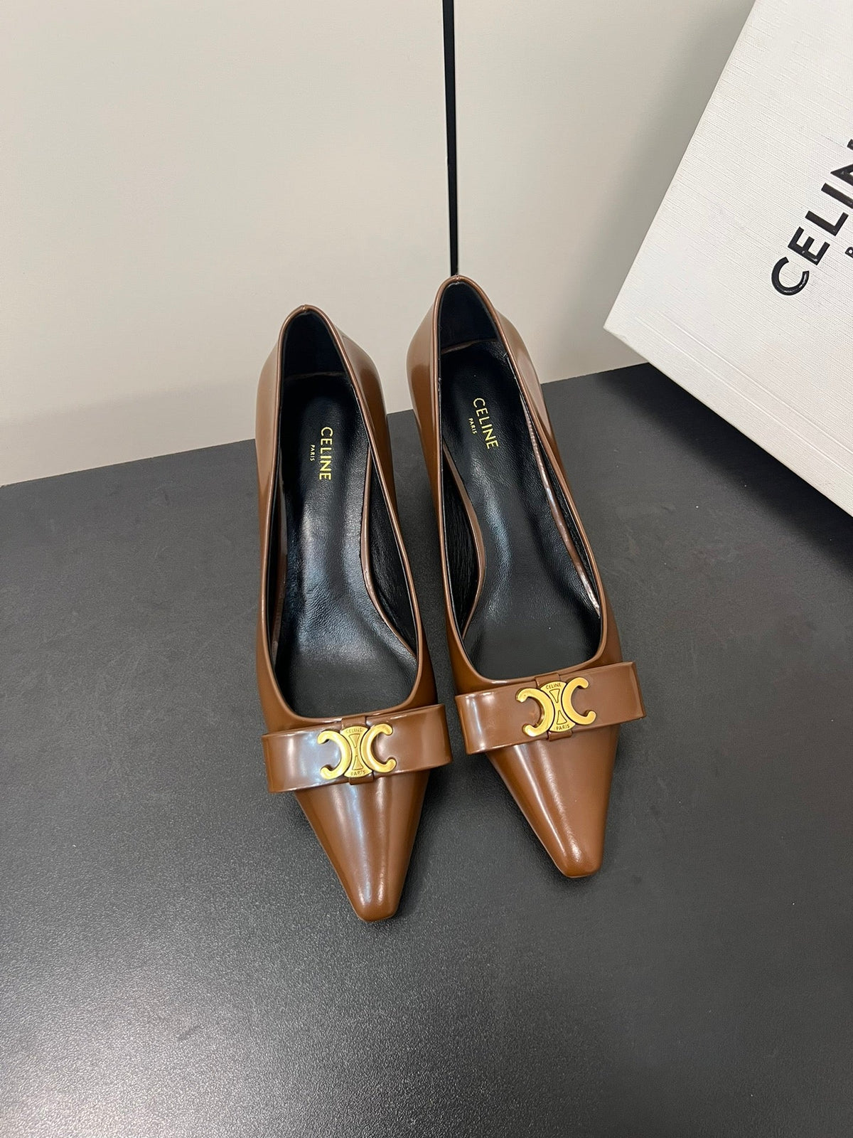 TRIOMPHE POINTED-TOE HIGH PUMPS IN BROWN SHINY CALFSKIN