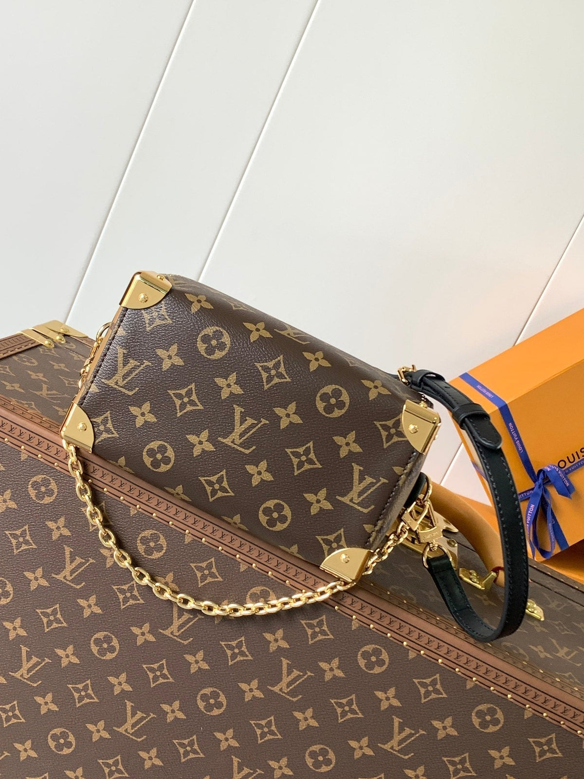 SPEEDY TRUNK BAG 20 IN BROWN MONOGRAM COATED CANVAS AND BLACK CALFSKIN