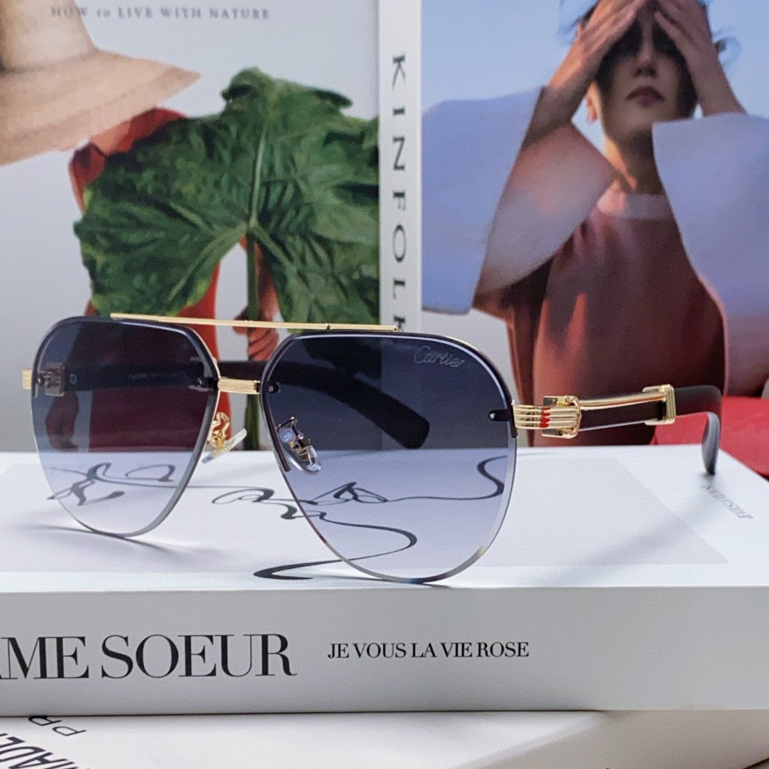 SIGNATURE C DE AVIATOR FRAME SUNGLASSES 561995 IN METAL