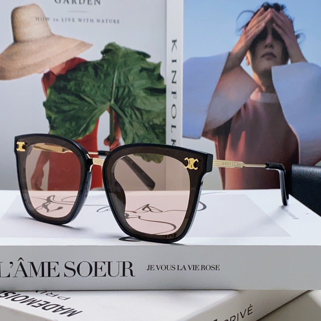 TRIOMPHE SUNGLASSES 548589 IN BLACK ACETATE GRADIENT SMOKE LENSES