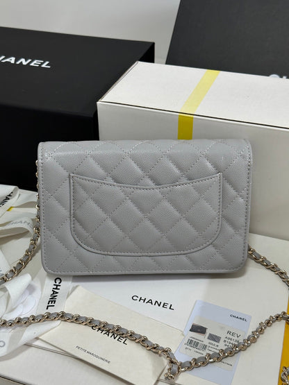 STRASS WOC ENTRUPY BAG 19 IN SPANISH GREY CALFSKIN GOLD HARDWARE